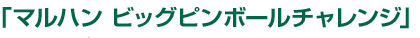 マルハン ビッグピンボールチャレンジ