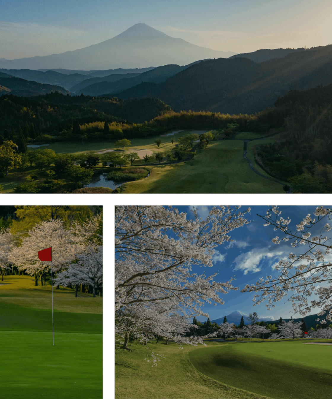Images