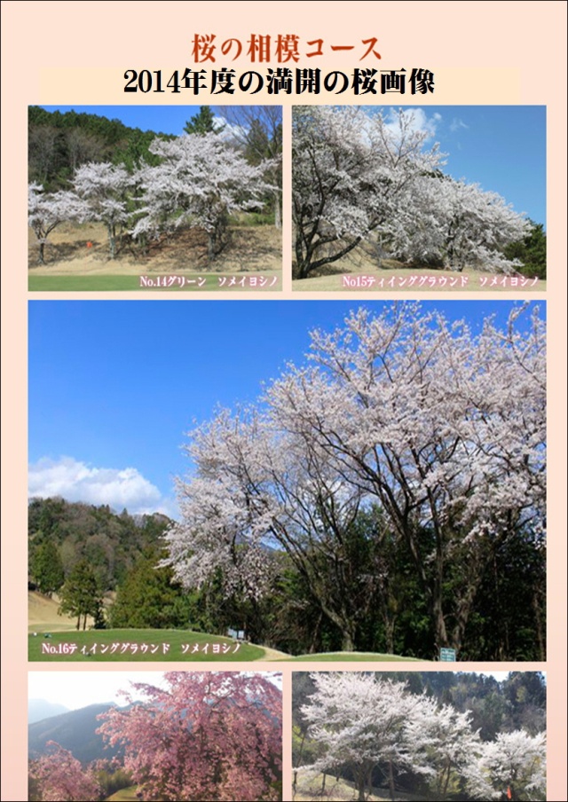 相模｜新着情報