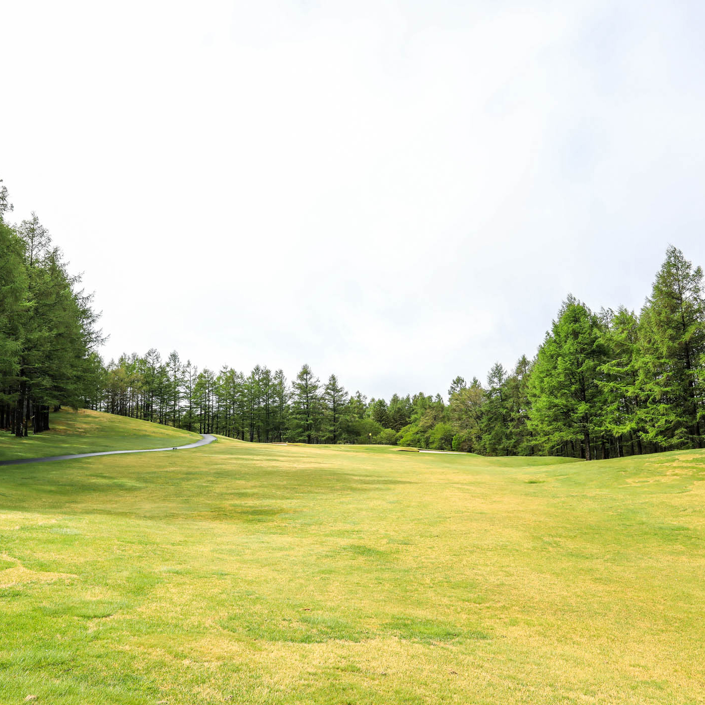 Asama No.14 Hole / 171Y Par3
