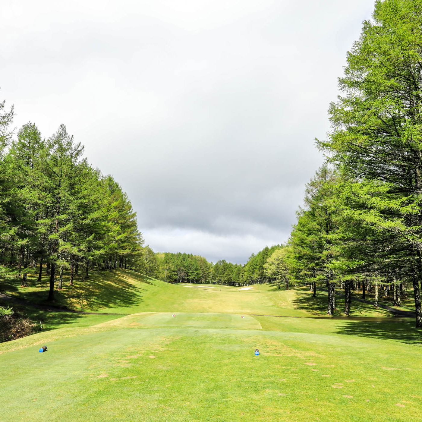 Asama No.07 Hole 411Y Par4