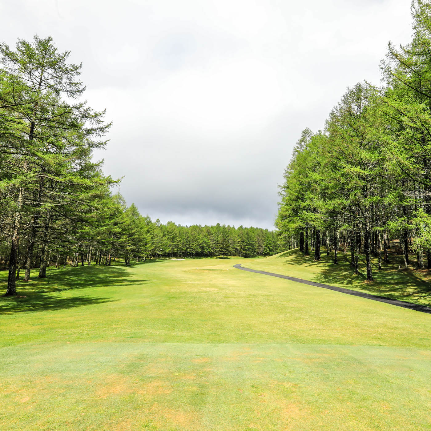 Asama No.06 Hole 406Y Par4