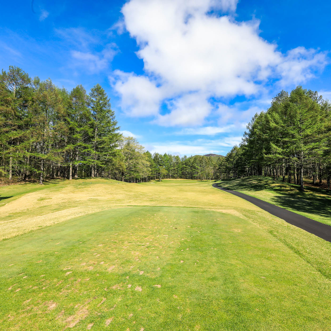 Asama No.03 Hole / 203Y Par3