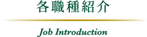 各職種紹介 Job Introduction